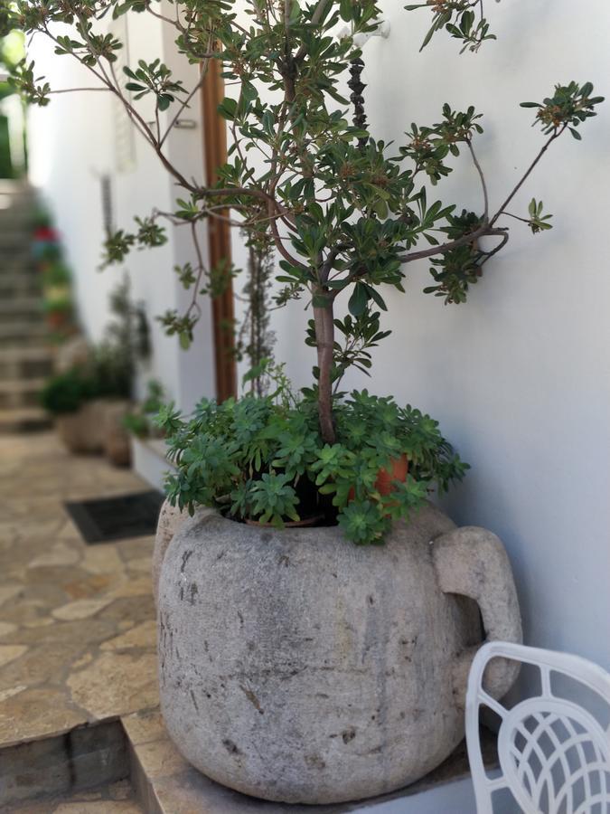 Adriatic Apartments Dubrovnik Exterior foto